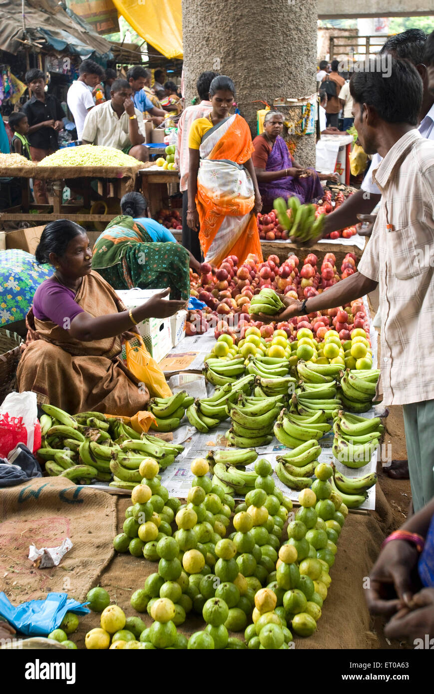 Frau Obst im Plattform-Shop in Bengalen zu verkaufen; Tamil Nadu; Indien Stockfoto