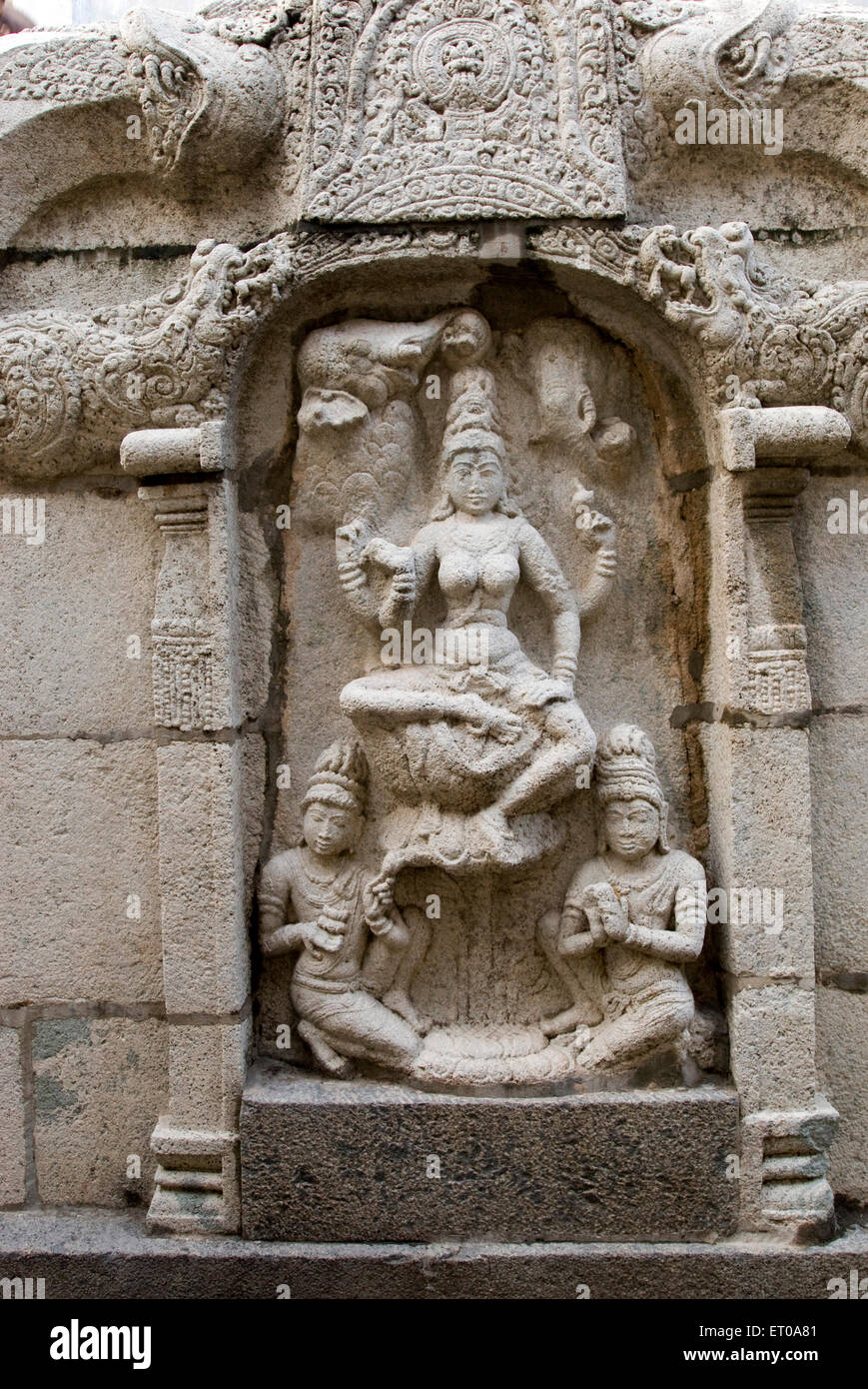 Göttin Saraswati Weisheit lernen Statue Brüstung Wand Tempel Vimana Sundaravarada Perumal Tempel Pallava Tamil Nadu Stockfoto
