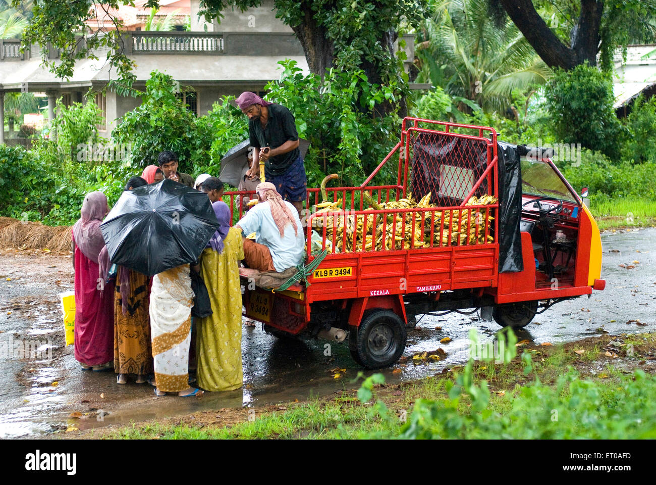 Banane-Verkauf im Dorf während der Monsun-Tag in der Nähe von Palakkad; Kerala; Indien Stockfoto