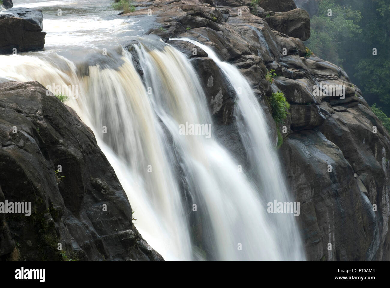 Athirappally Wasserfälle, Athirappilly Wasserfälle, Chalakudy River, Chalakkudy, Chalakudy Taluk, Thrissur District, Kerala, Indien, Asien Stockfoto