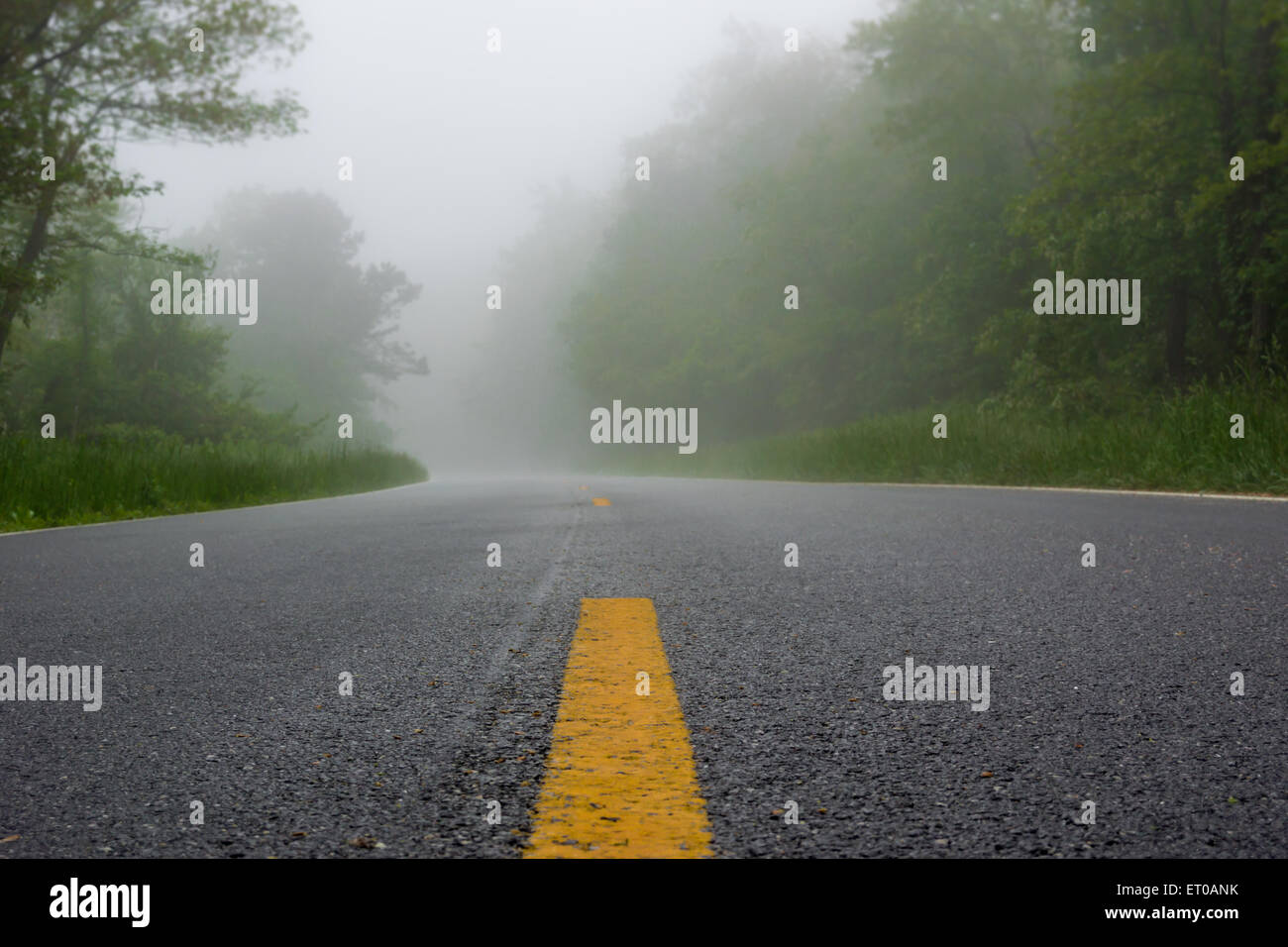 Nebel kriecht über Skyline Drive an einem regnerischen Morgen im Shenandoah National Park Stockfoto