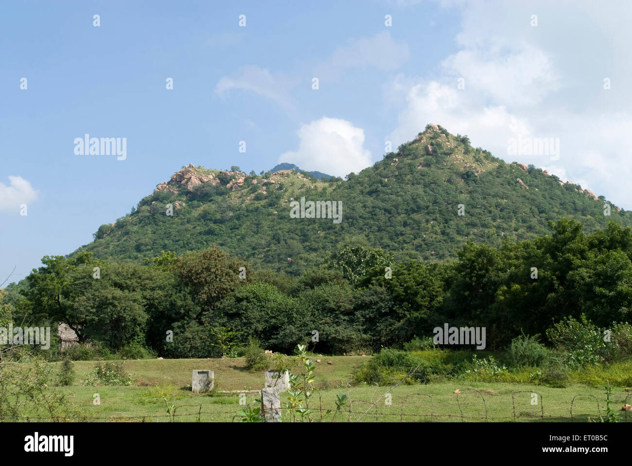 Heilige Arunachala Hügel, Thiruvannamalai, Arunai, Annamalai, Arunagiri, Arunachalam, Tiruvarunai, Tondainattunallur, Sonagiri, Tamil Nadu, Indien, Asien Stockfoto