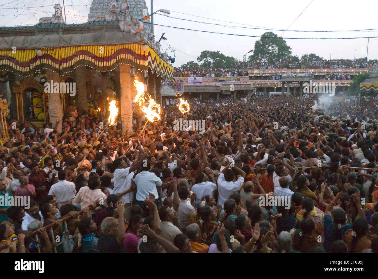 Feier des Karthigai Deepam Festival im Arunachaleshwara-Tempel; Thiruvannamalai; Tamil Nadu; Indien Stockfoto
