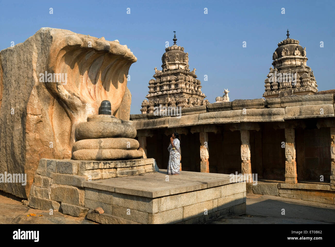 Monolithische Nagalinga achtzehn Fuß hoch im Innenhof des Virabhadra-Tempels in Lepakshi Andhra Pradesh, Indien Stockfoto