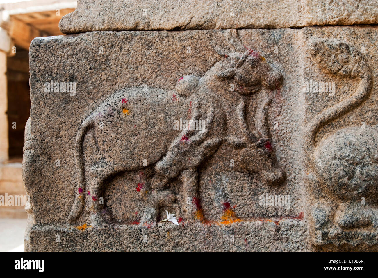 Bull; Basrelief in Virabhadra Tempel in Lepakshi; Andhra Pradesh; Indien Stockfoto
