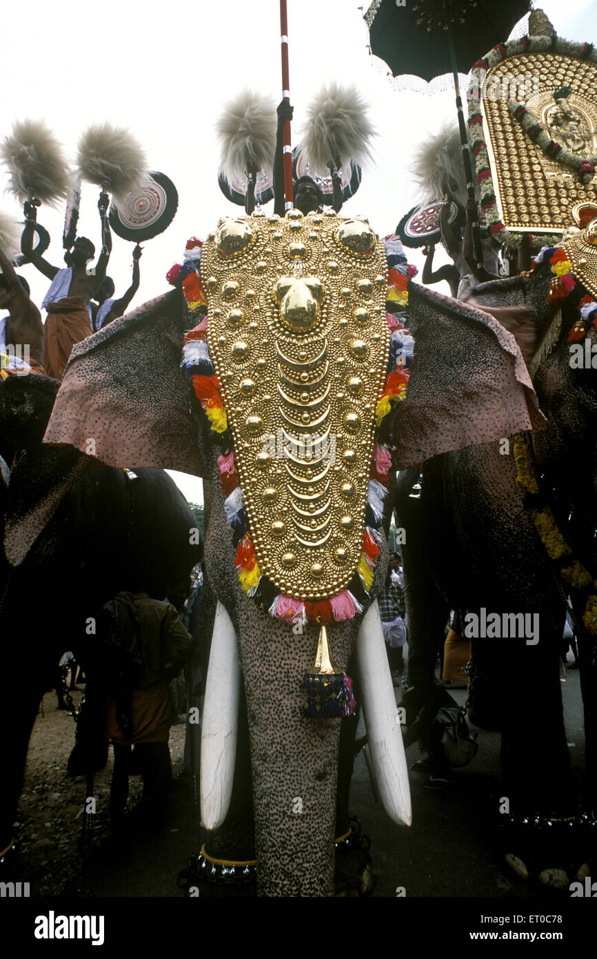 Elephant auf Pooram Festivals in Thrissur Trichur geschmückt; Kerala; Indien Stockfoto