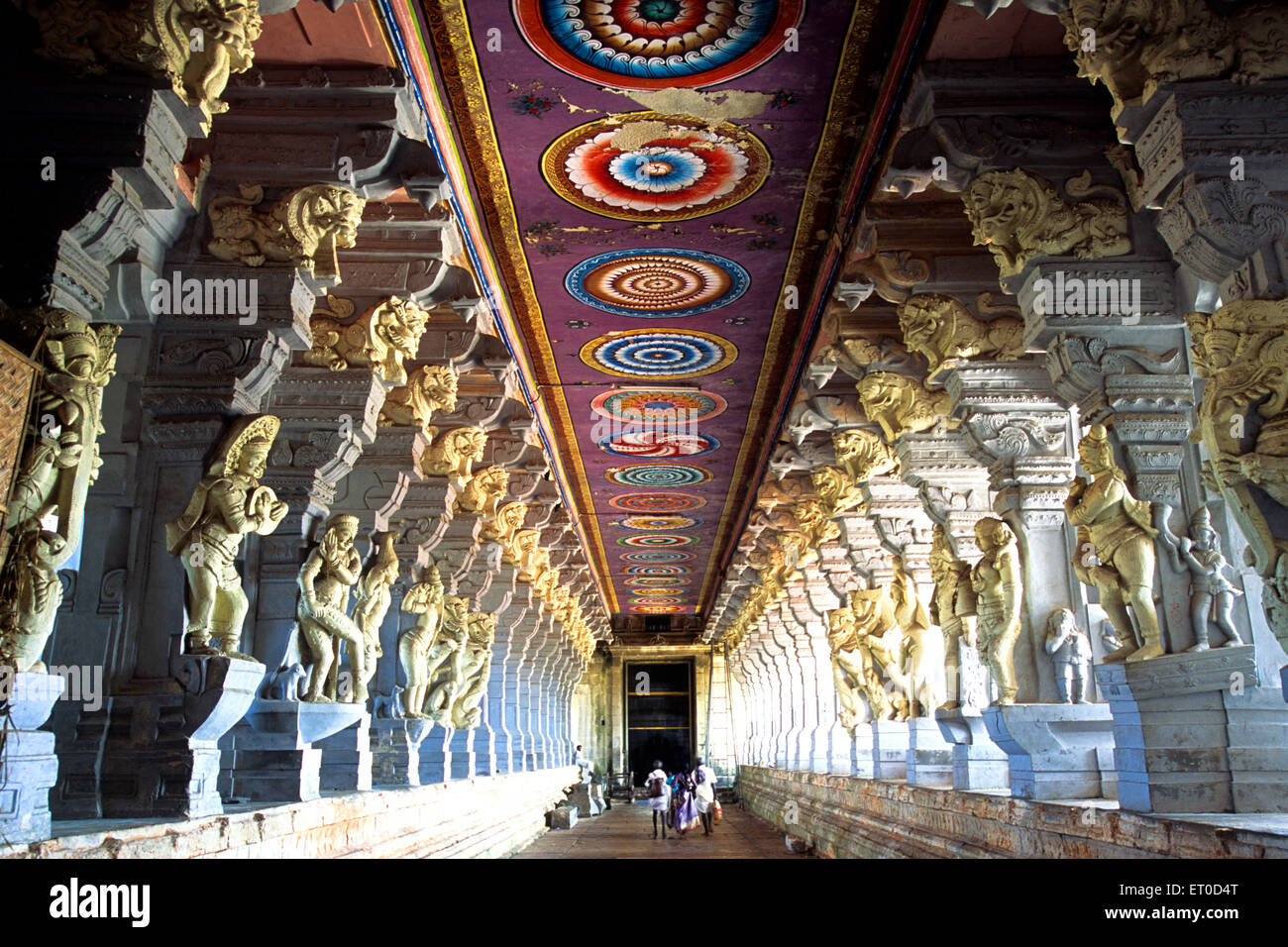Ramanathaswamy Temple Passage Decke Rameswaram Rameshvaram Tamil Nadu Indien Stockfoto