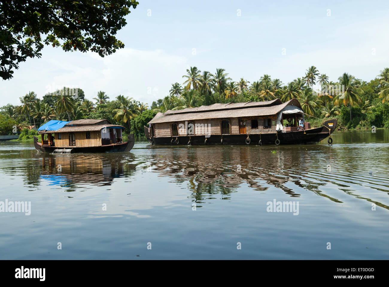 Hausboote in Nebengewässern; Kuttanad; Alleppey Alappuzha; Kerala; Indien Stockfoto