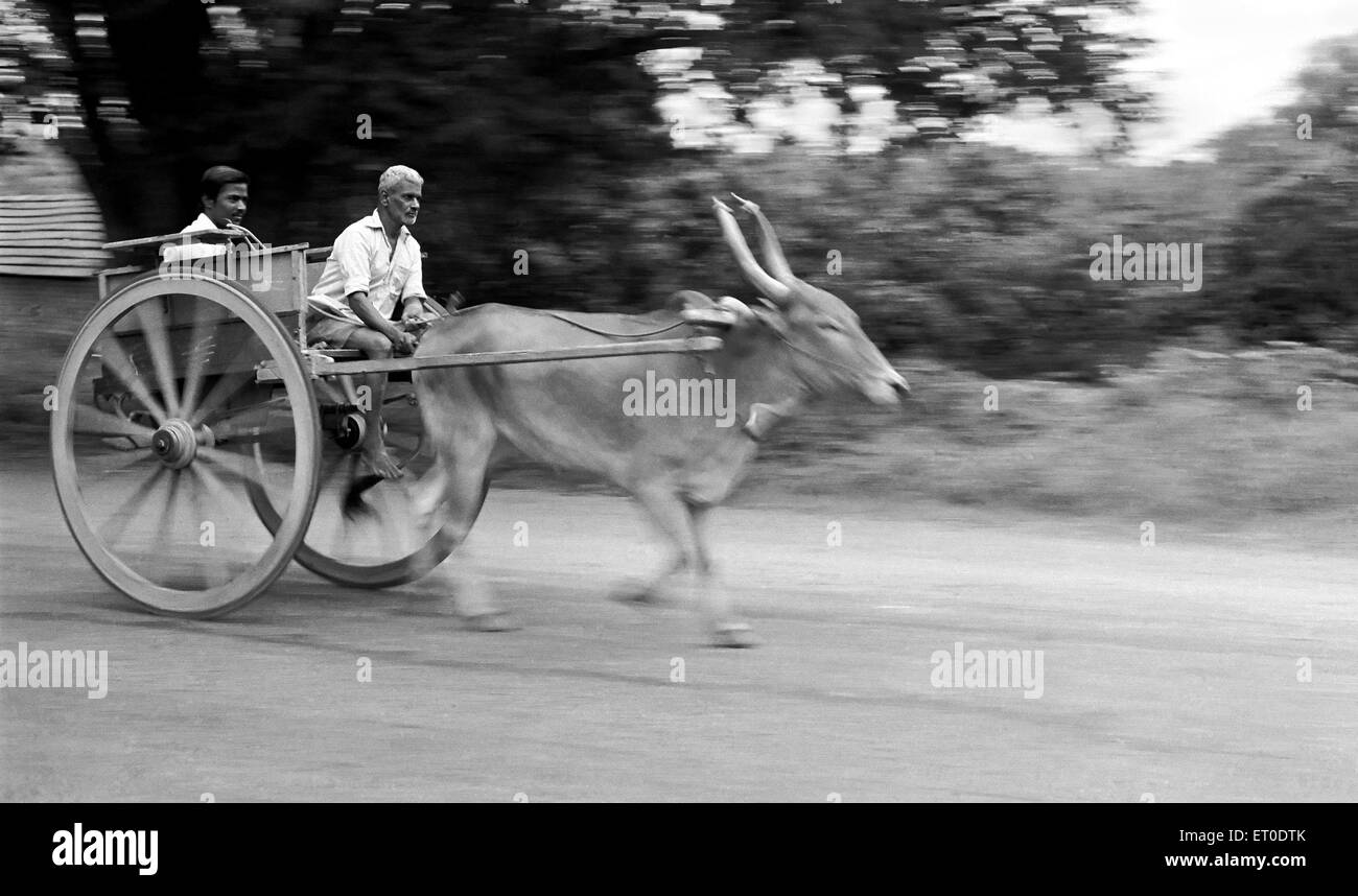 Alter Mann, der auf einem Blockwagen reitet, Coimbatore, Tamil Nadu, Indien Stockfoto