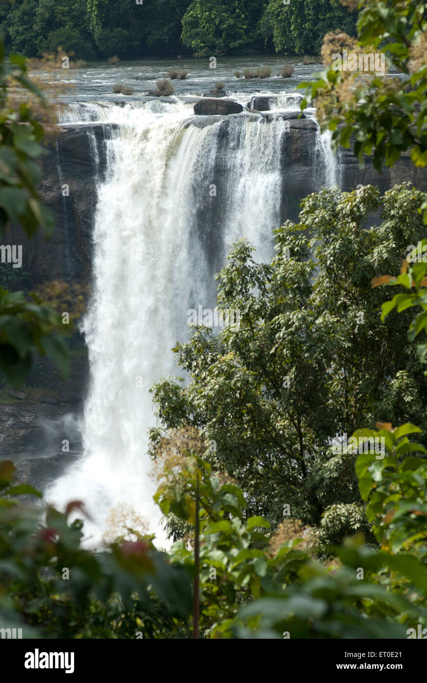 Athirappilly Wasserfälle, Athirappilly Wasserfälle, Athirappally Wasserfälle, Chalakudy, Thrissur, Trichur, Kerala, Indien, Asien Stockfoto