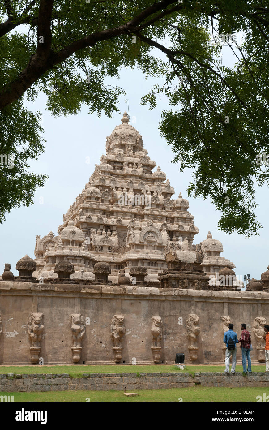 Kailasanatha-Tempel;  Kanchipuram; Kancheepuram; Tamil Nadu; Indien Stockfoto