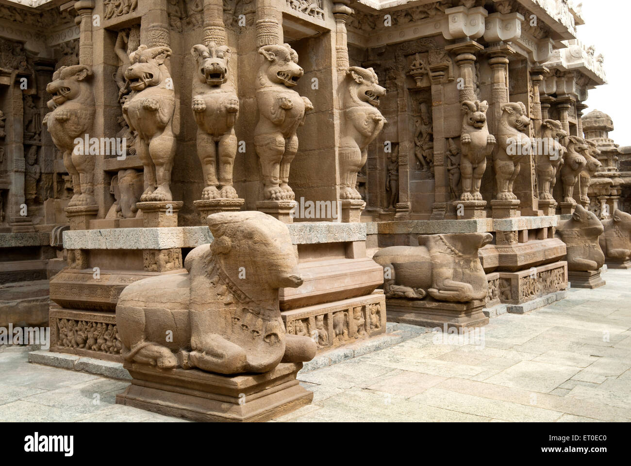 Kailasanatha-Tempel in;  Kanchipuram; Kancheepuram; Tamil Nadu; Indien Stockfoto