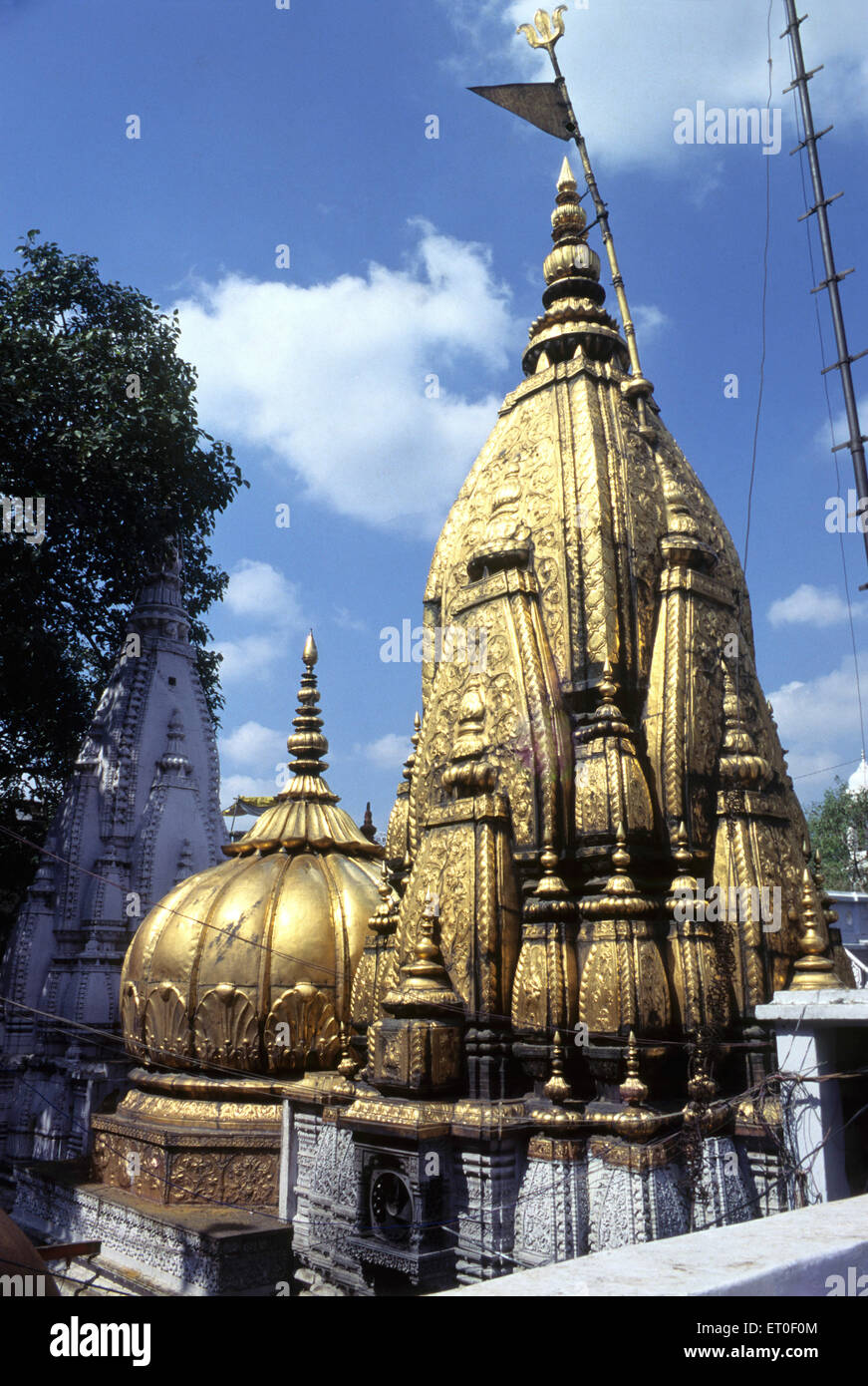 Kasi Vishwanath Tempel goldenen Turm in Varanasi Uttar Pradesh, Indien Stockfoto