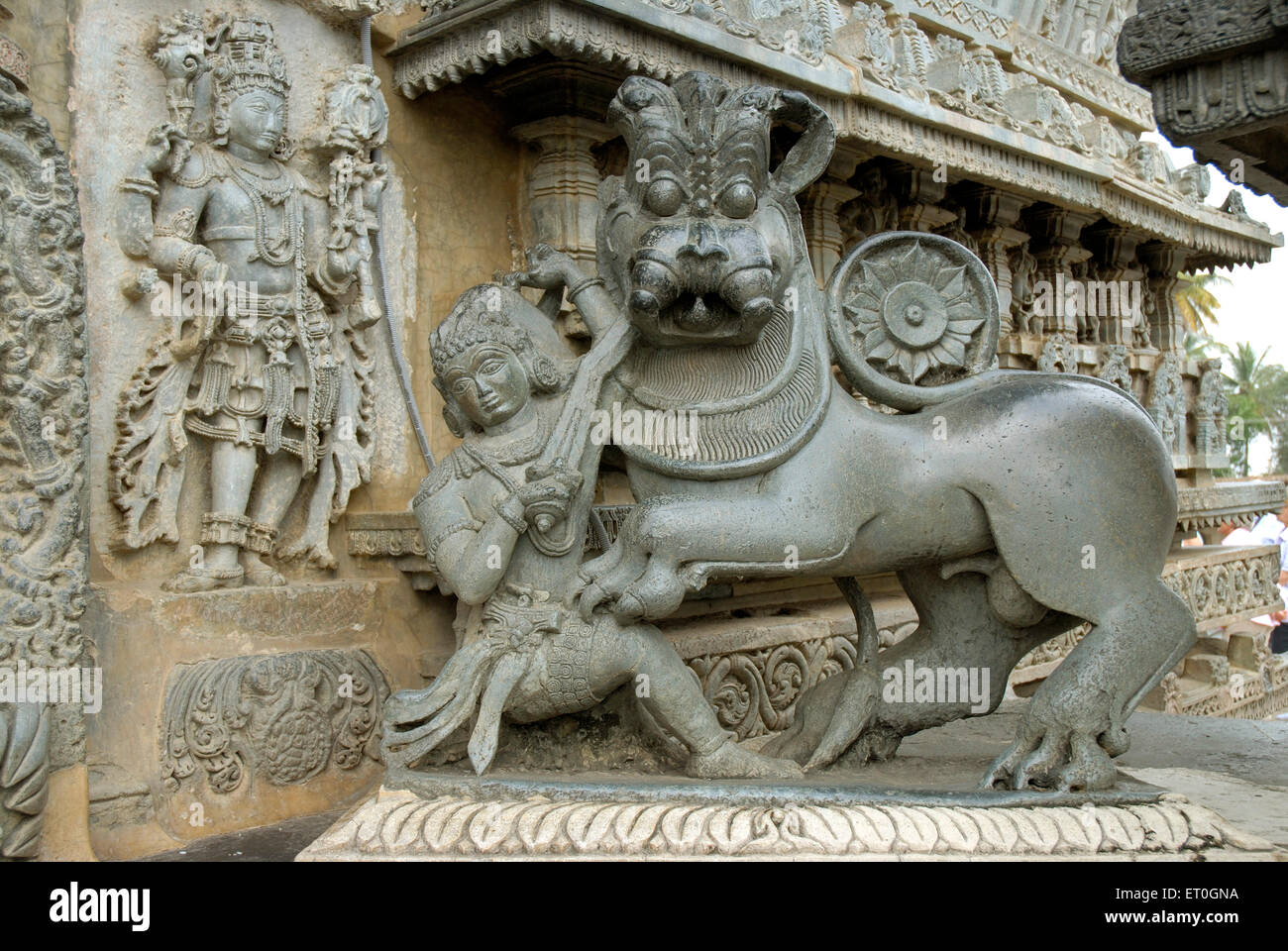 Hoysala-Symbol in Form von Mann anzugreifen Tiger äußere des Channakesava Vishnu Tempel; Belur; Distrikt Hassan; Karnataka Stockfoto