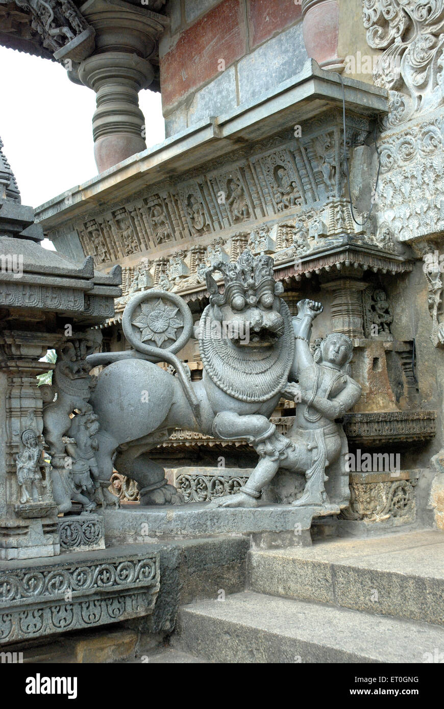 Hoysala Symbol des Menschen töten Tiger Channakesava Vishnu Tempel; Belur; Distrikt Hassan; Karnataka; Indien Stockfoto