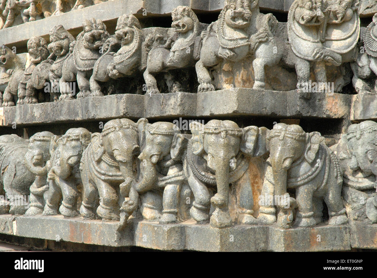 Reihen von Stein geschnitzten Löwen und Elefanten zeigt Mut Kraft Channakesava Vishnu Tempel; Belur; Hassan; Karnataka Stockfoto