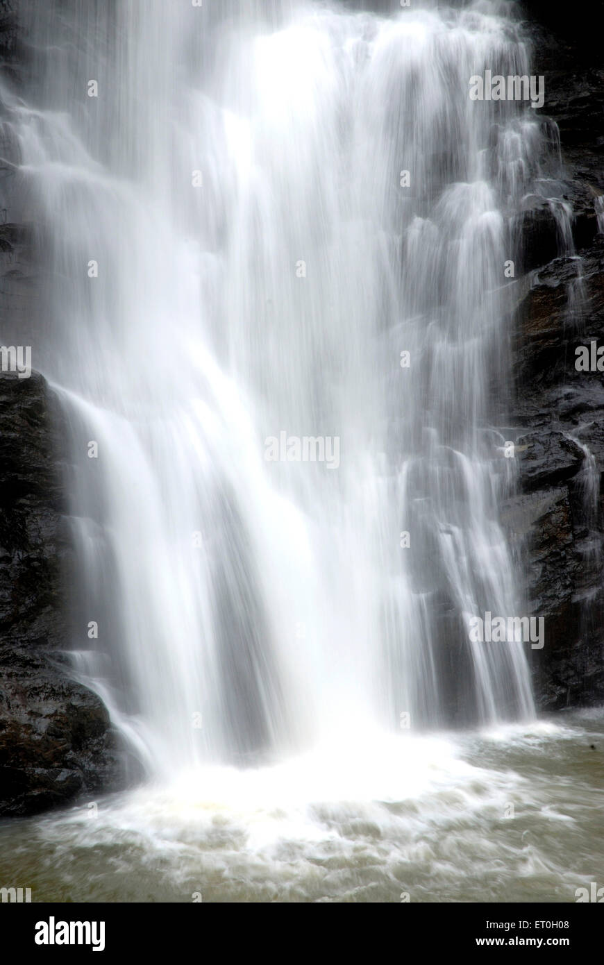 Abbey Falls, Abbi Falls, Abbe Falls, Madkeri Falls, Khushal Nagar, Kodagu, Coorg, Western Ghats, Karnataka, Indien, Asien Stockfoto