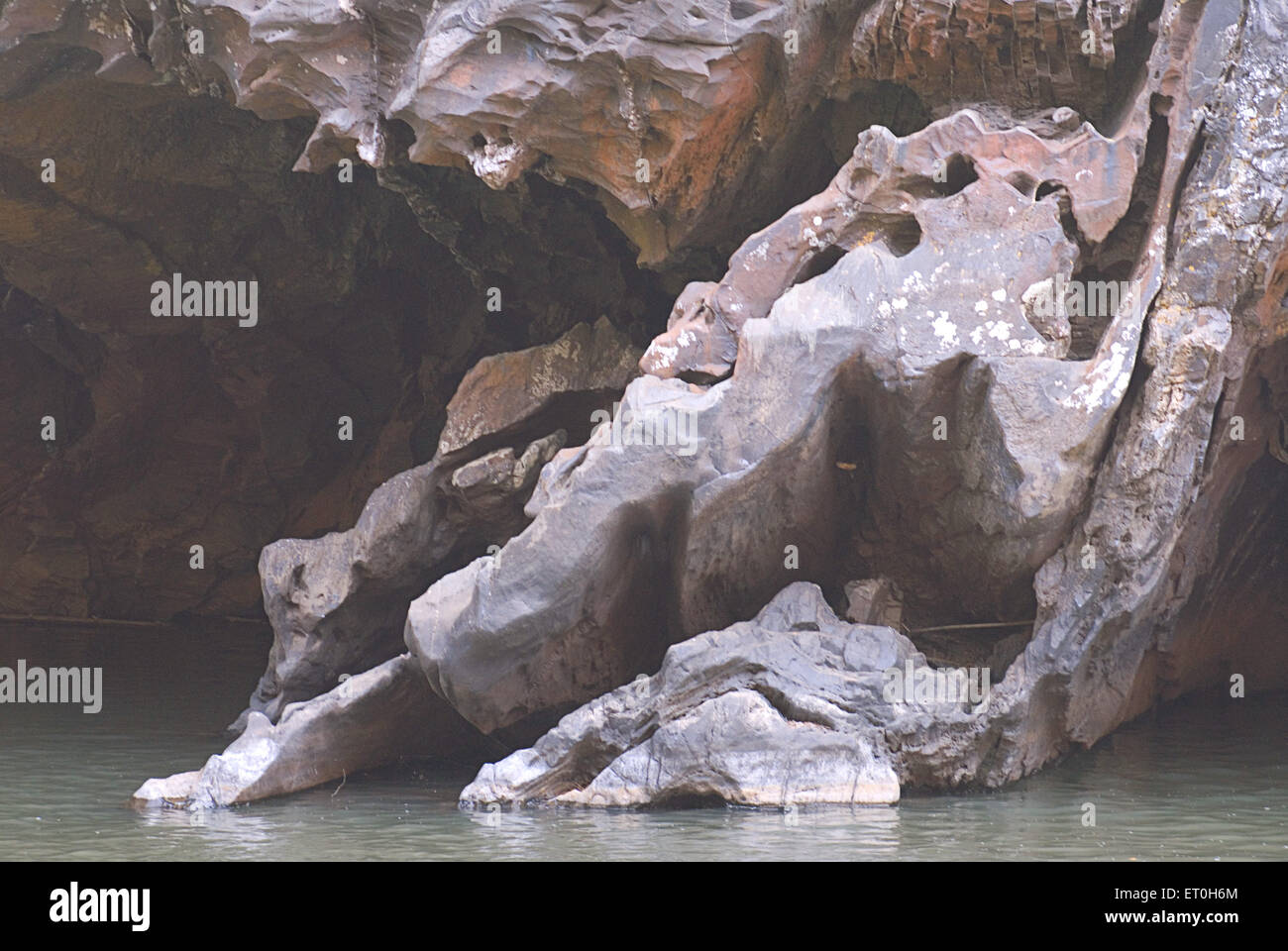 Syntheri Rock, Kaneri Fluss; Dandeli Wildlife Sanctuary, Yellapur; Uttara Kannada, Western Ghat, Karnataka; Indien, asien Stockfoto