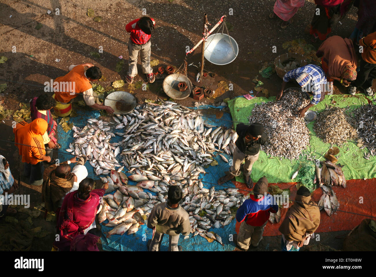 Fischmarkt in Ranchi Stadt Hauptstadt von Jharkhand Indien Stockfoto