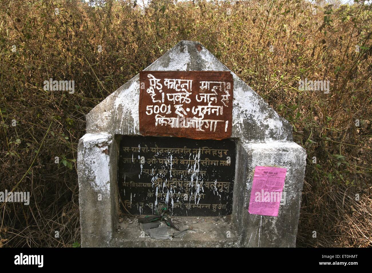 Schild „Baumschneiden verboten“, Ranchi, Jharkhand, Indien, Indianerdorf Leben Stockfoto