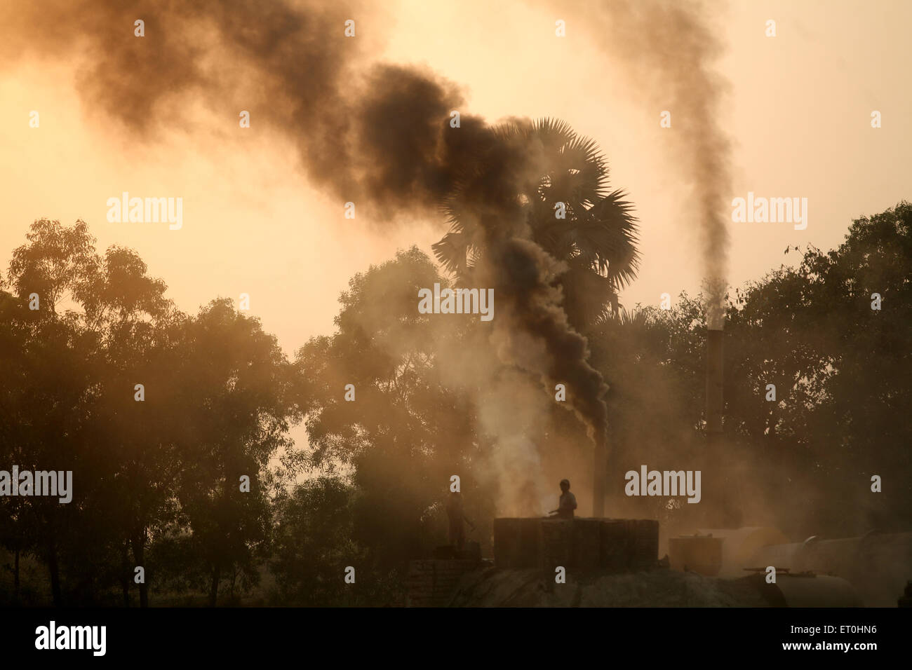 Rauch kommt aus der Teerfabrik in Jharkhand; Indien; Asien; asiatisch; indisch Stockfoto
