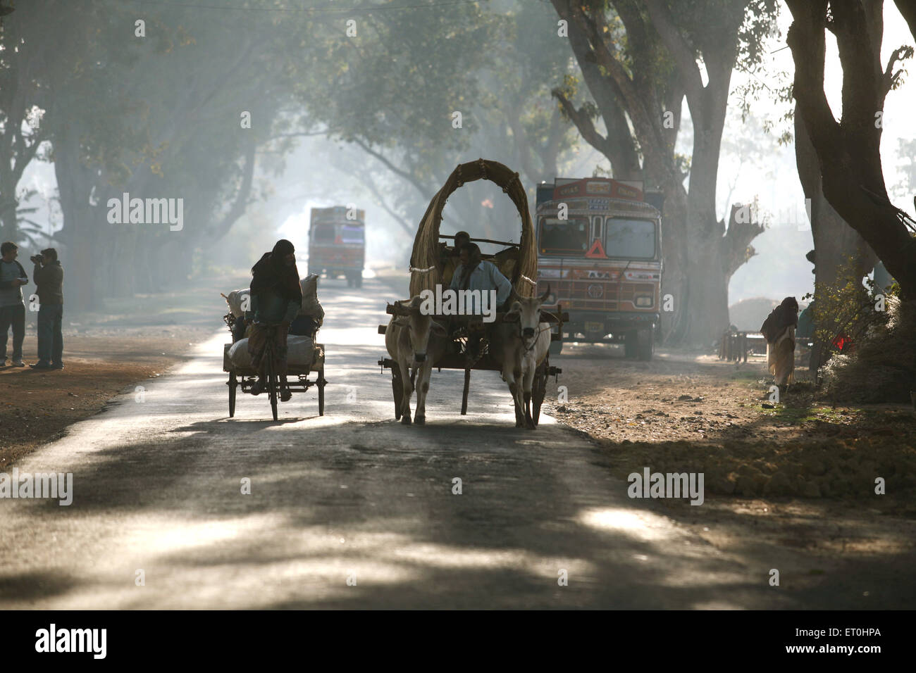 Dreirädrige Rikscha und Bullock Cart und LKW auf der Autobahn, Lohardaga, Ranchi, Jharkhand, Indien, Indisches Landleben Stockfoto