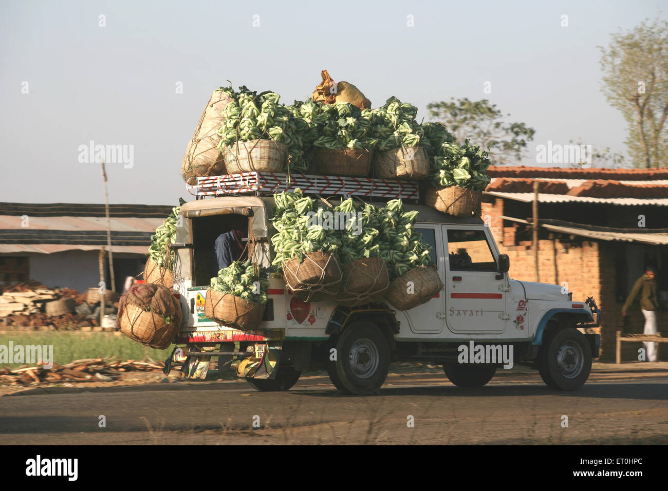 Blumenkohl Gemüse beladener Jeep, Lohardaga, Ranchi, Jharkhand, Indien, Indisches Landleben Stockfoto