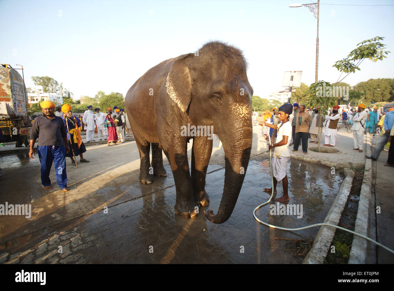Elefant ein Bad von seinem Hausmeister in Nanded gegeben werden; Maharashtra; Indien Stockfoto