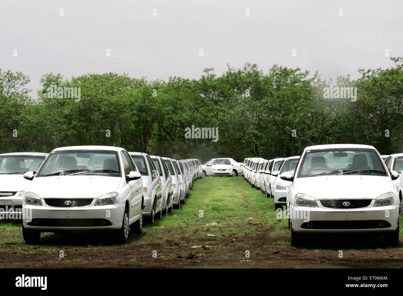 Tata Motors neuer Palette Nutzfahrzeuge Tata Indigo geparkt bei Tata Motors Pflanze; Pimpri in der Nähe von Pune; Maharashtra; Indien Stockfoto
