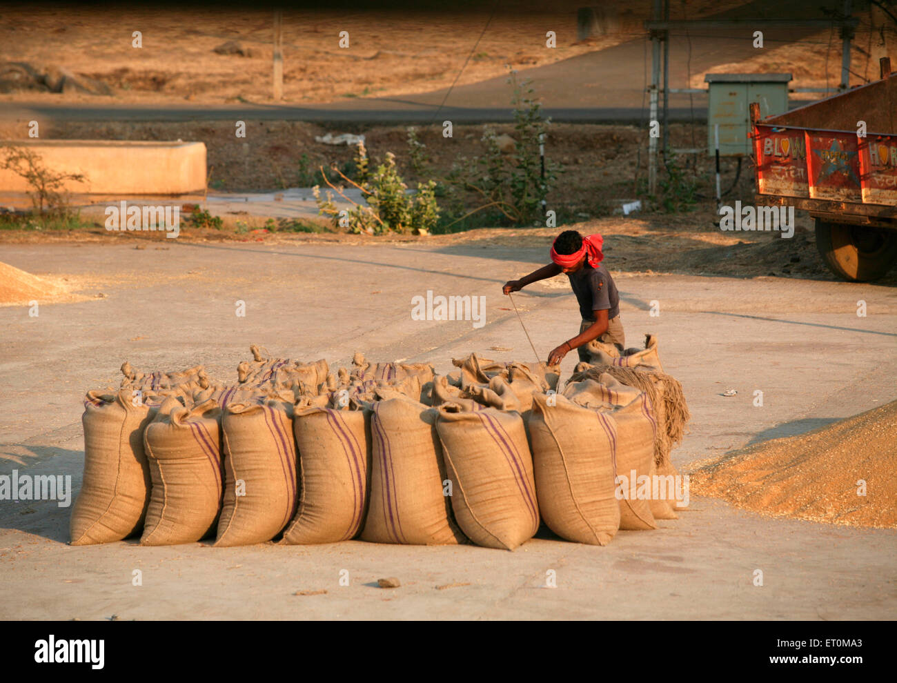 Arbeiter Nähen Jute Säcke mit Getreide bei Harsud Mandi; Lebensmittelmarkt in Bhopal Körner; Madhya Pradesh; Indien Stockfoto