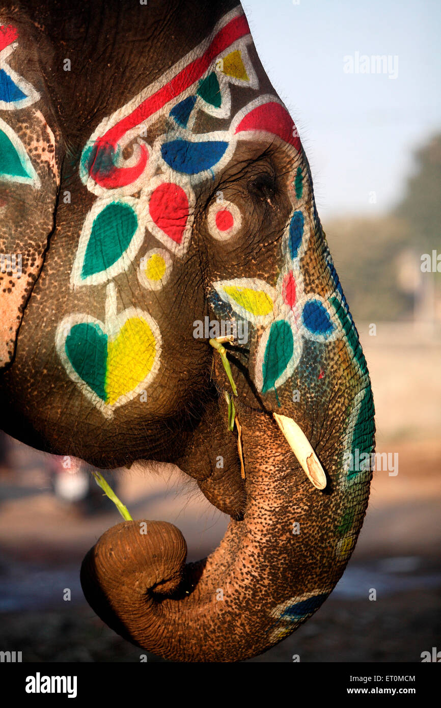 Gemalter Elefant, Ahmedabad, Gujarat, Indien Stockfoto