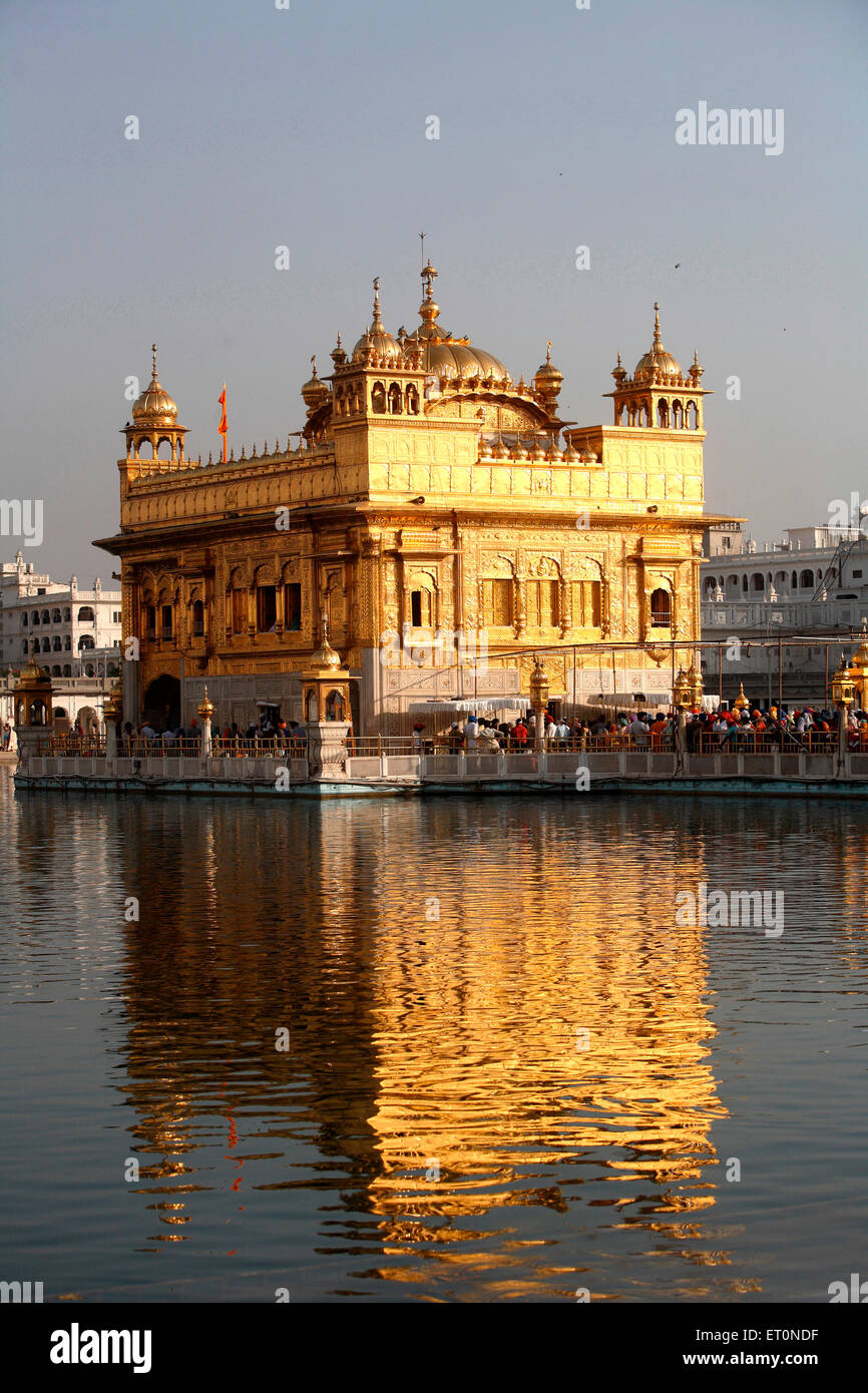 Ansicht des Harmandir Sahib oder Darbar Sahib oder Golden Tempel Spiegelbild im See; Amritsar; Punjab; Indien Stockfoto