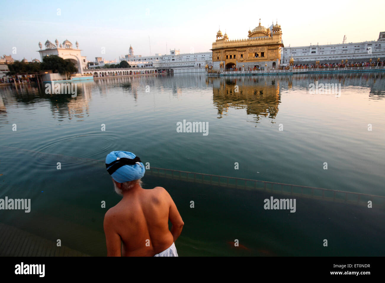 Sikh nehmen Bad im See von Harmandir Sahib oder Darbar Sahib oder goldenen Tempel in Amritsar; Punjab; Indien Stockfoto