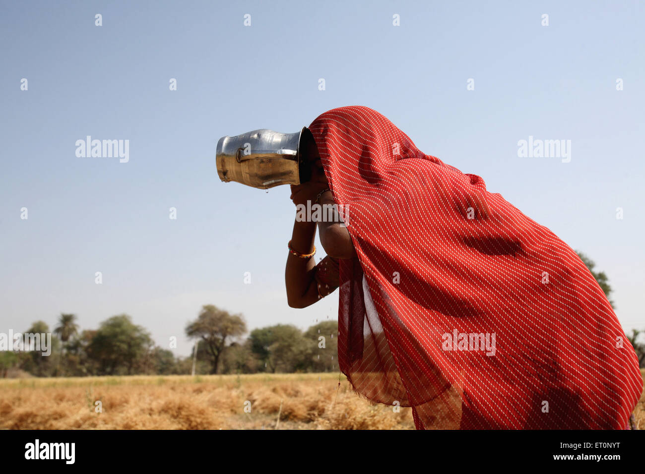 Frau trinkt Wasser aus Krug, Rajasthan, Indien Stockfoto
