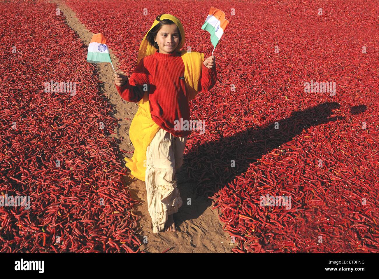 Mädchen mit nationalen Flagge zu Fuß neben roten Chilischoten; Mathania; Jodhpur; Rajasthan; Indien nicht Herr Stockfoto