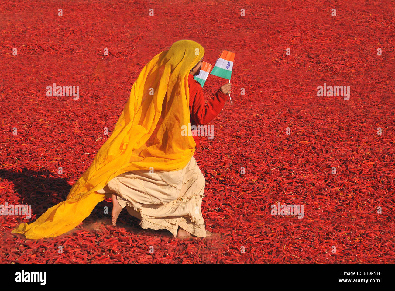 Mädchen mit nationalen Flagge, die zu Fuß durch rote Chillies; Mathania; Jodhpur; Rajasthan; Indien Stockfoto