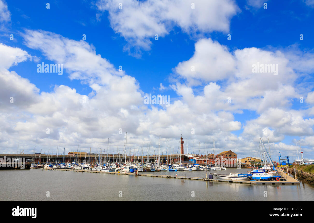 Grimsby Marina mit Dock Tower Stockfoto