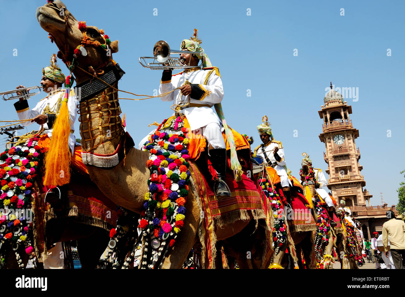 Kamel Parade auf Marwar Festival; Jodhpur; Rajasthan; Indien NOMR Stockfoto