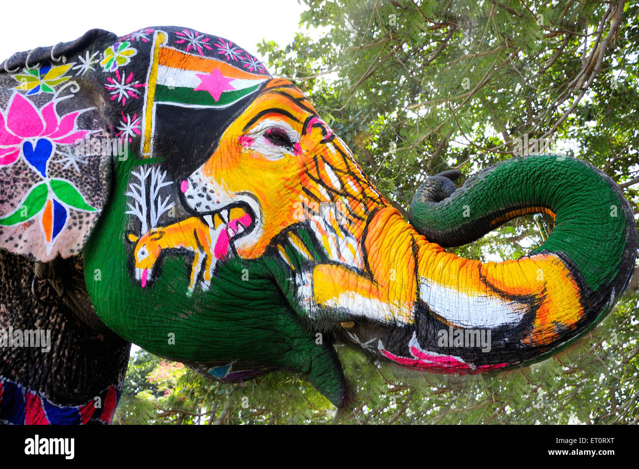 Bemalter Elefant, Elefantendekoration, Elefantendekoration, Elefantenparade, Elefantenfestival. Jaipur, Rajasthan, Indien, indische Festivals Stockfoto