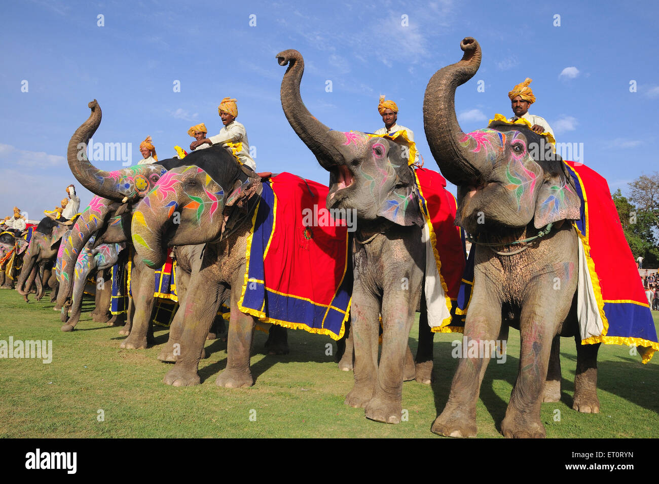 Mahouts auf Elefanten, Jaipur, Rajasthan, Indien Stockfoto
