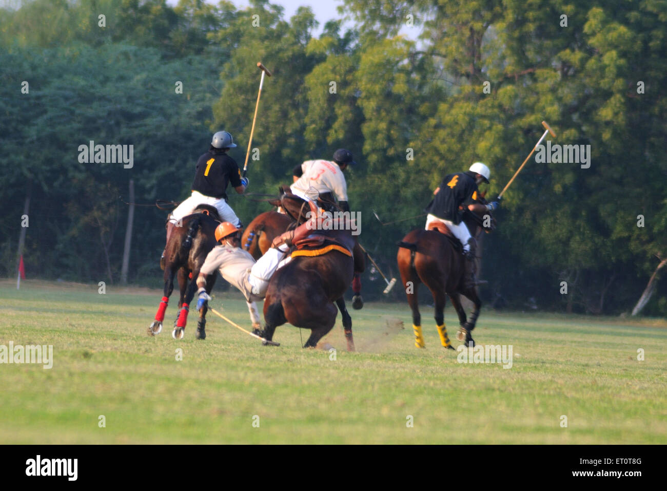 Horse Polo ; Jodhpur ; Rajasthan ; Indien Stockfoto