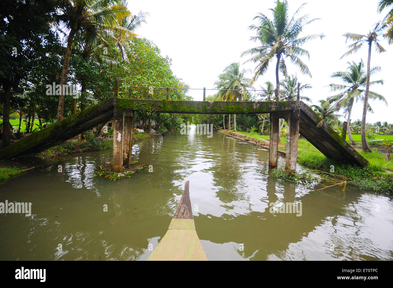 Brücke an einem schmalen Rückstau-Kanal; Ernakulum; Kerala; Indien Stockfoto