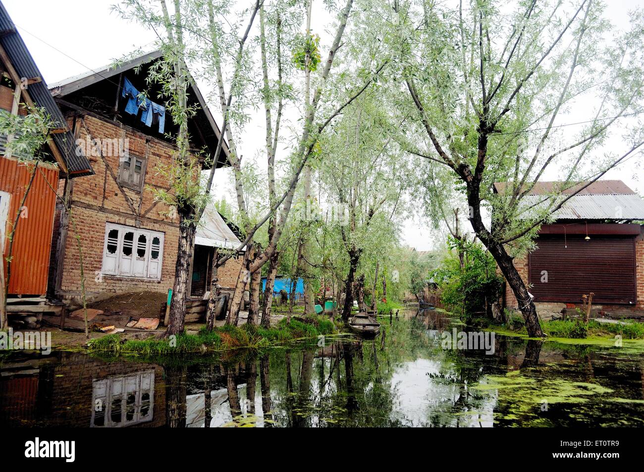 Haus am dal-See; Srinagar; Jammu und Kaschmir; Indien Stockfoto