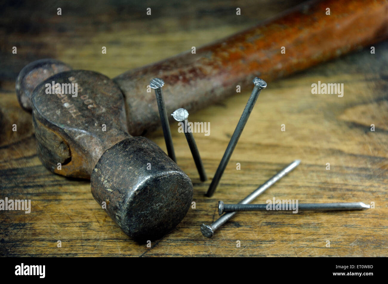 Hammer und Nägel auf Holzbrett Stockfoto