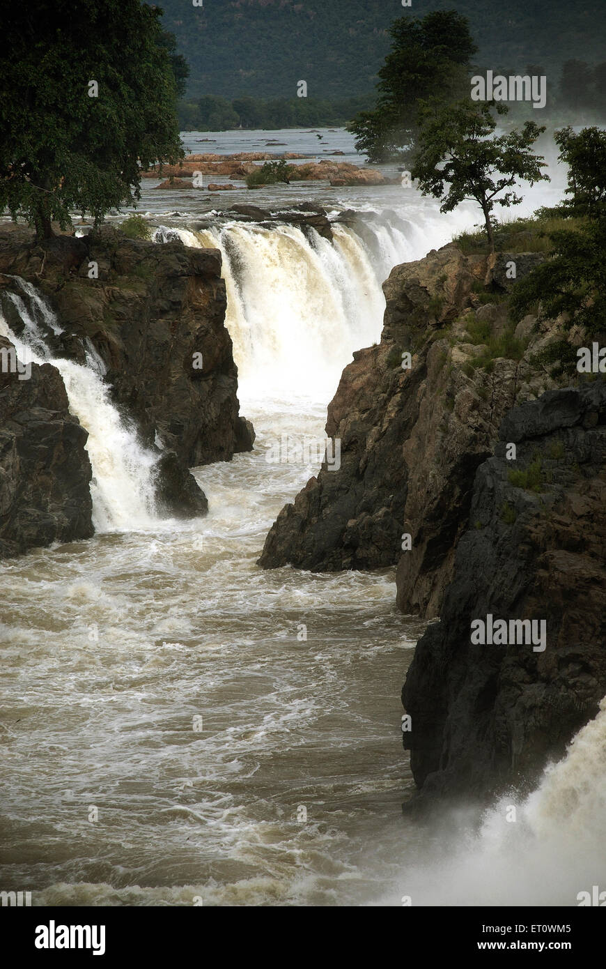 Hogenakkal Water Falls, Fluss Cauvery, Kaveri River, Hogenakal, Dharmapuri, Chamrajnagar, Tamil Nadu, Indien Stockfoto