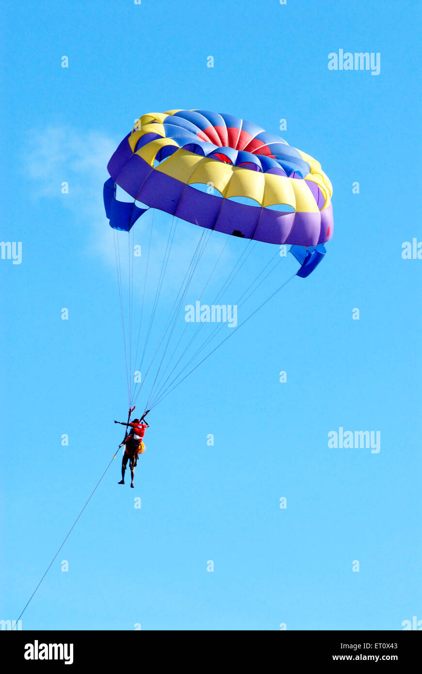 Parasailing oder Paragliding von zwei Mann am Chowpatty; Schiffsantrieb; Bombay Mumbai; Maharashtra; Indien Stockfoto