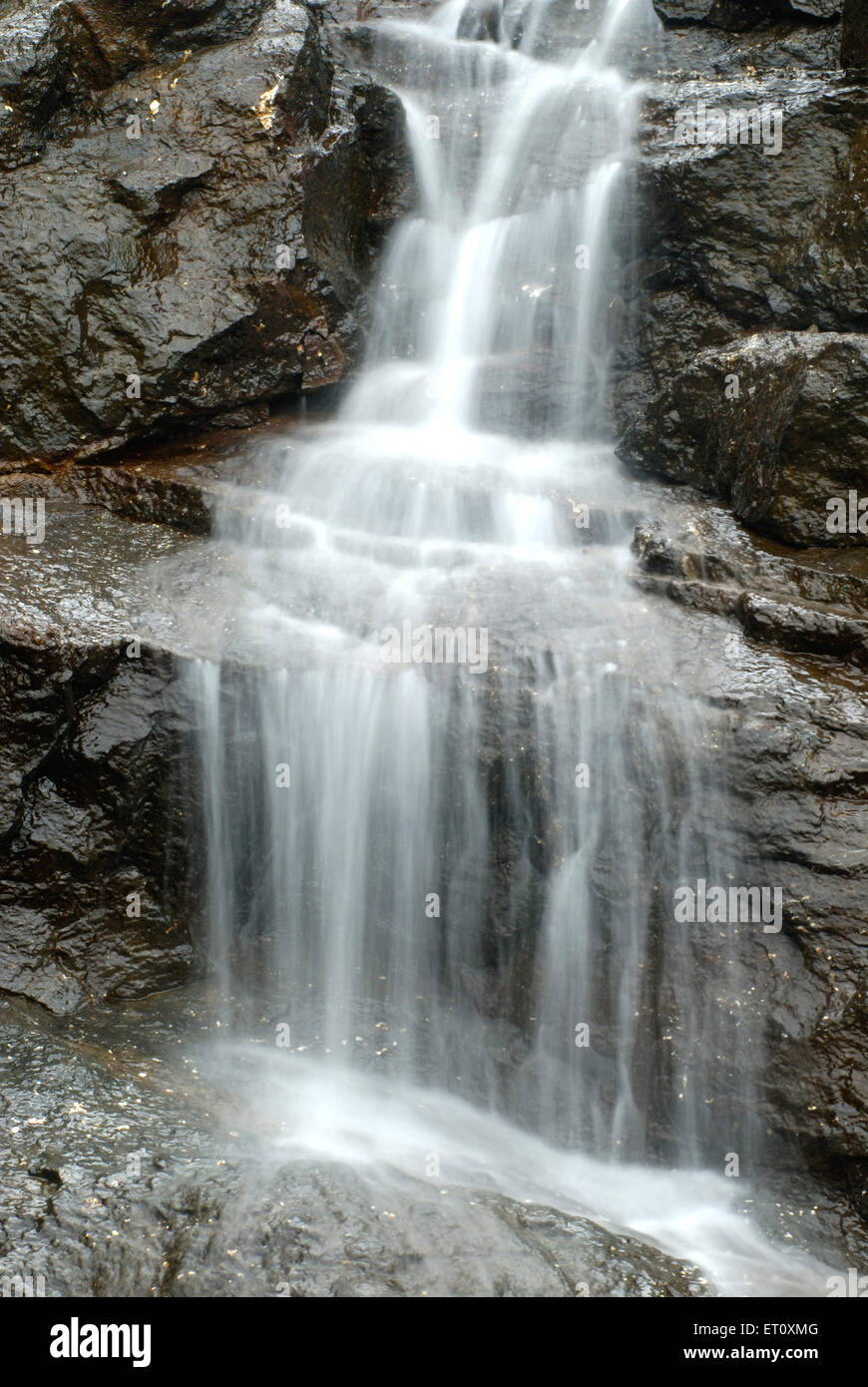 Wasserfall; Malshej Ghat; Maharashtra; Indien; Asien Stockfoto