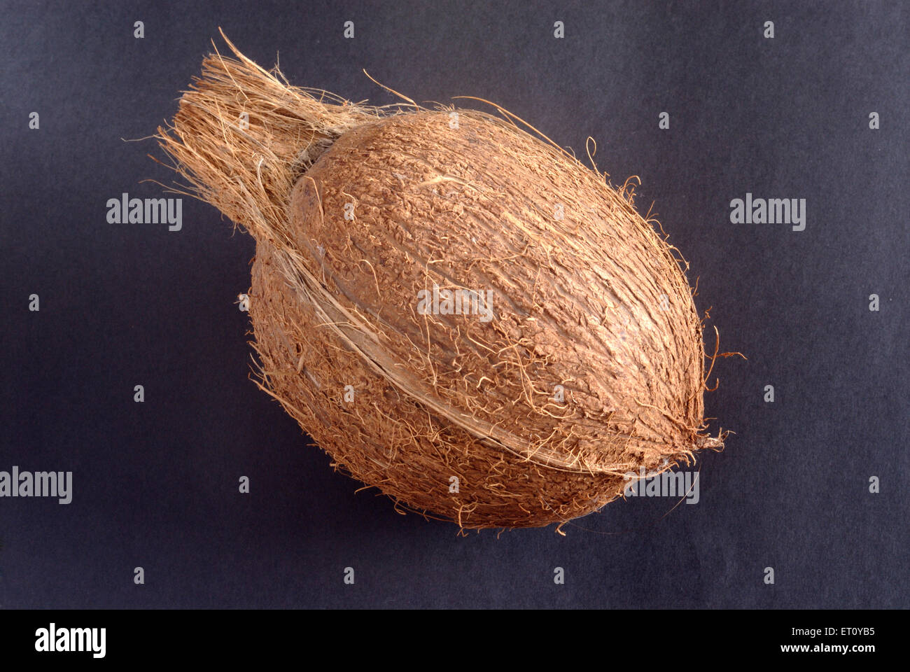 Kokosnussschale auf schwarzem Hintergrund Stockfoto