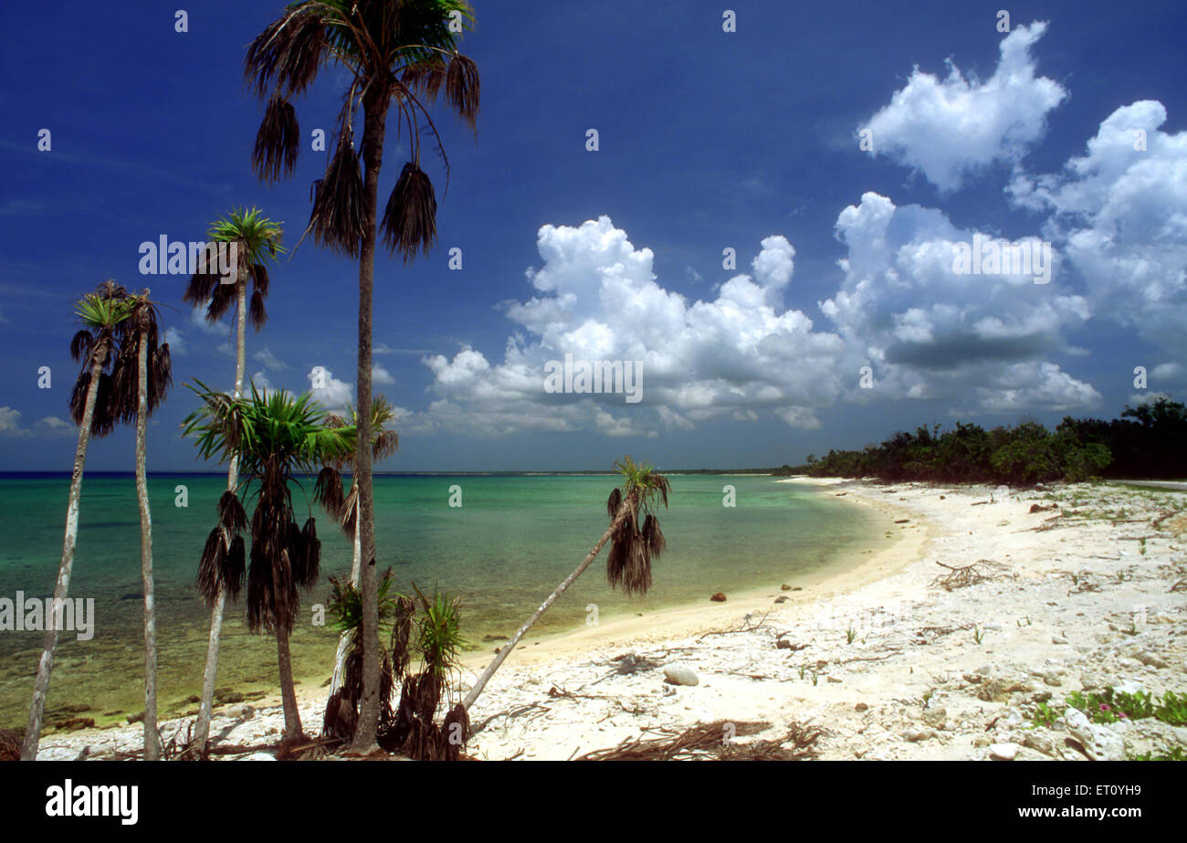 Weiße Sandstrände in Maria la Gorda Strand. Badeort von Maria La Gorda in Pinar del Río Provinz von Kuba, Westindische Inseln. Stockfoto