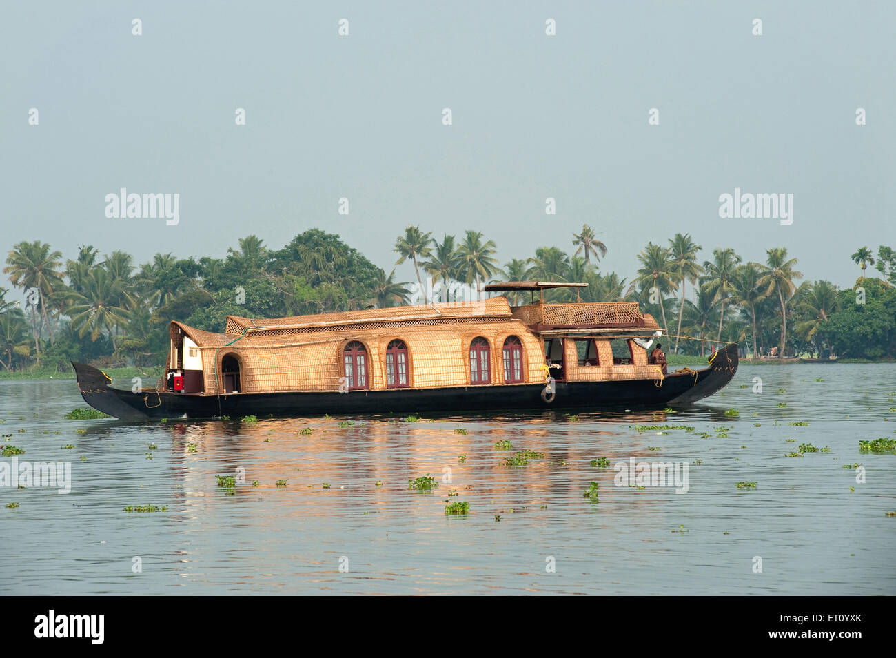 Kettuvallam in Hausboot in Backwaters umgewandelt; Alleppey; Alappuzha; Kerala; Indien; Asien Stockfoto